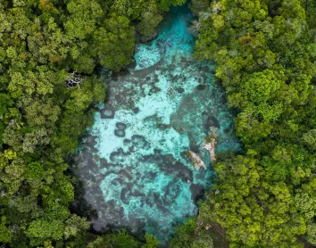 Maré-Trou d'eau dans la forêt